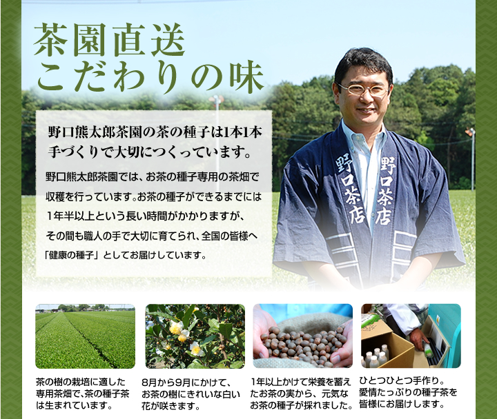 茶園直送こだわりの味野口熊太郎茶園の茶の種子は1本1本手づくりで大切につくっています。野口熊太郎茶園では、お茶の種子専用の茶畑で収穫を行っています。お茶の種子ができるまでには1年半以上という長い時間がかかりますが、その間も職人の手で大切に育てられ、全国の皆様へ「健康の種子」としてお届けしています。茶の樹の栽培に適した専用茶畑で、茶の種子茶は生まれています。8月から9月にかけて咲く綺麗な白いお茶の花1年以上かけて栄養を蓄えたお茶の実。この中で種子すくすく成長します。しっかり熟した実のなかから熟成したお茶の種子が採れました。ひとつひとつ手作り。愛情たっぷりの種子茶を皆様にお届けします。