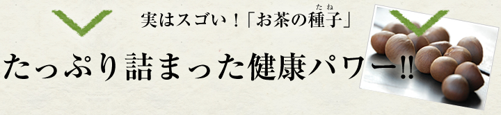 実はスゴい！「お茶の種子」たっぷり詰まった健康パワー!!