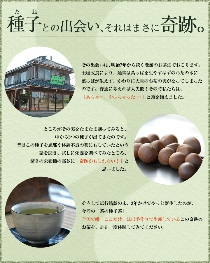 粉末緑茶 粉末茶 のおすすめはお茶通販の野口熊太郎茶園