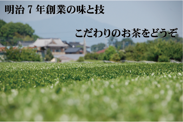 煎茶 六代目翔太郎100g