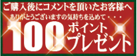 コメントで100ポイントプレゼント