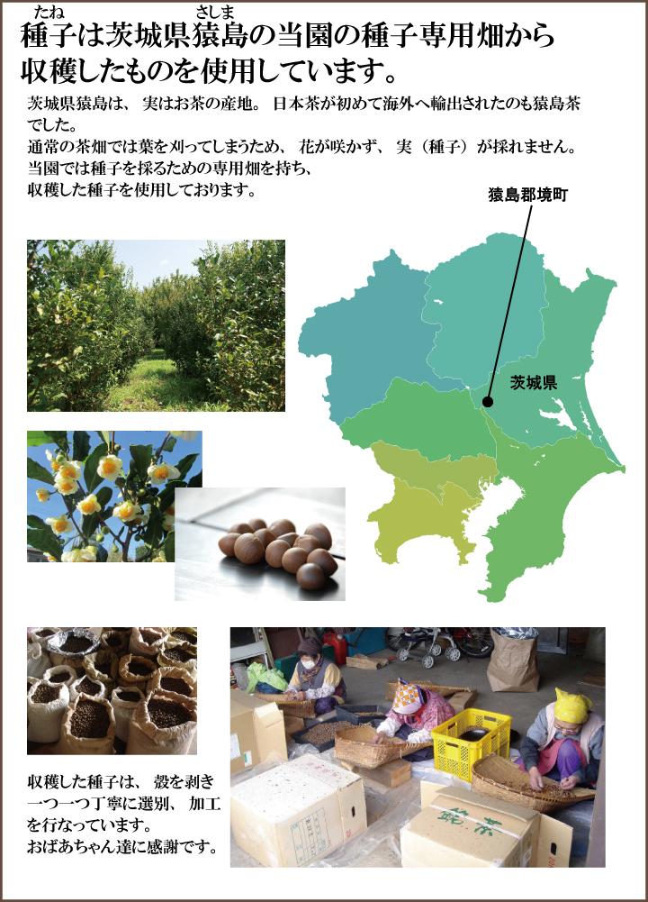 お茶のタネの産地は茨城県境町